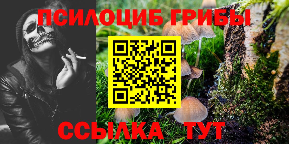 Галлюциногенные грибы GOLDEN TEACHER Вятские Поляны