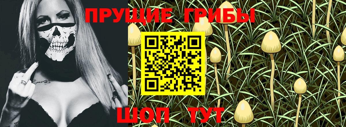 Галлюциногенные грибы ЛСД  Вход с VPN  Галлюциногенные грибы MAGIC MUSHROOMS  Вятские Поляны 